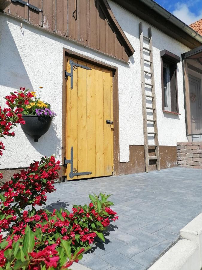 Harzhaus Ida Villa Elbingerode  Ngoại thất bức ảnh